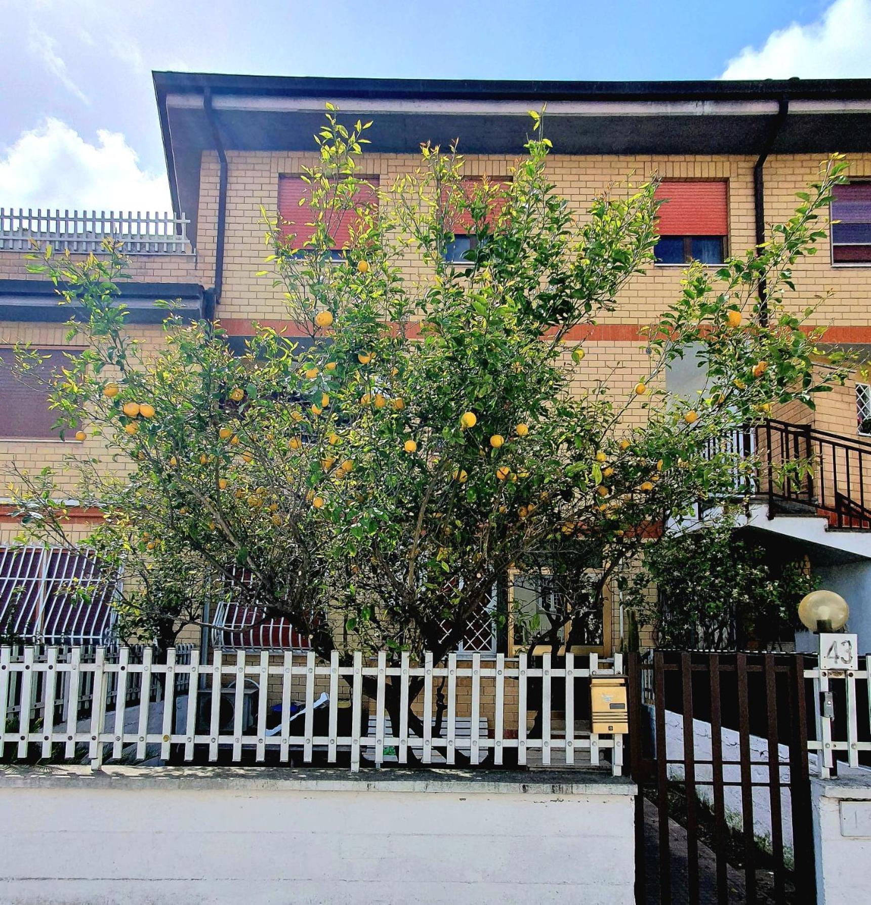 오스티아안티카 Lemon Tree House 아파트 외부 사진